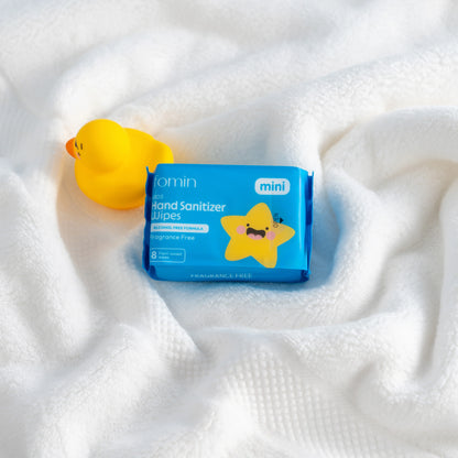 Hand Sanitizer Wipes